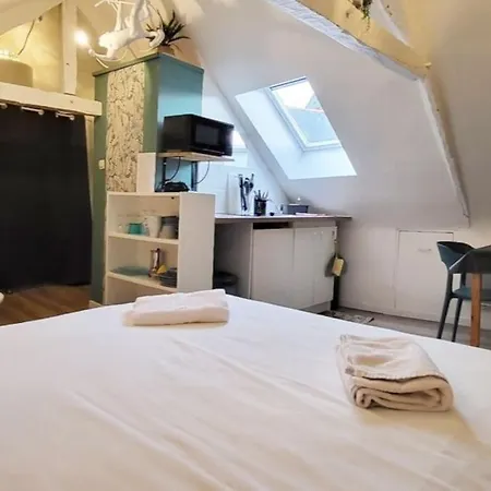 La - Petit Mansarde - 50m - Rue Gratuite Apartment Saint-Malo